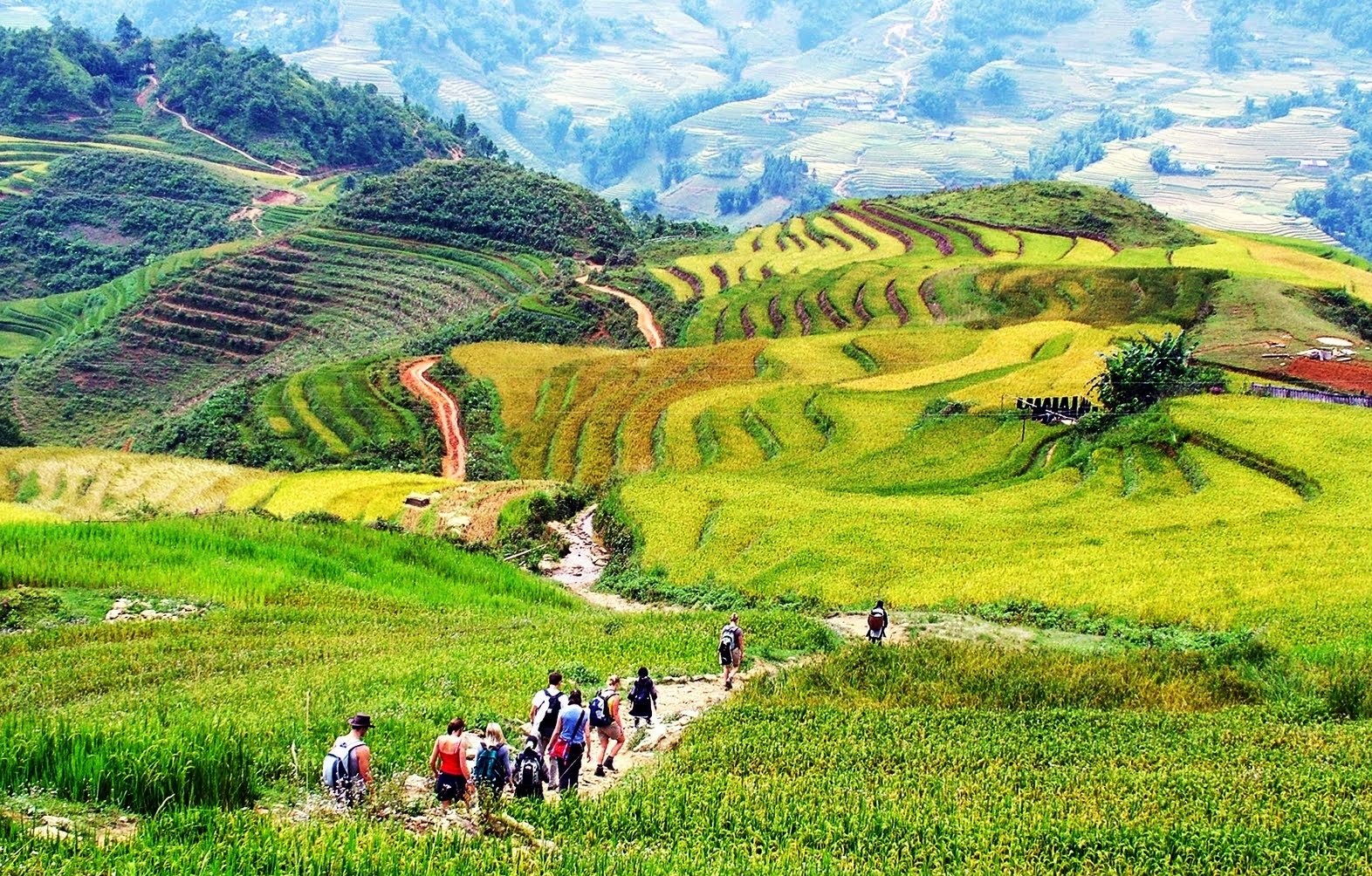 Best Time to Visit Sapa: Here's When This Mountain Town Is at Its Most Beautiful ???