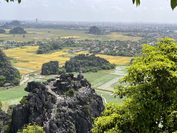 HOA LU -TAM COC -MUA CAVE 