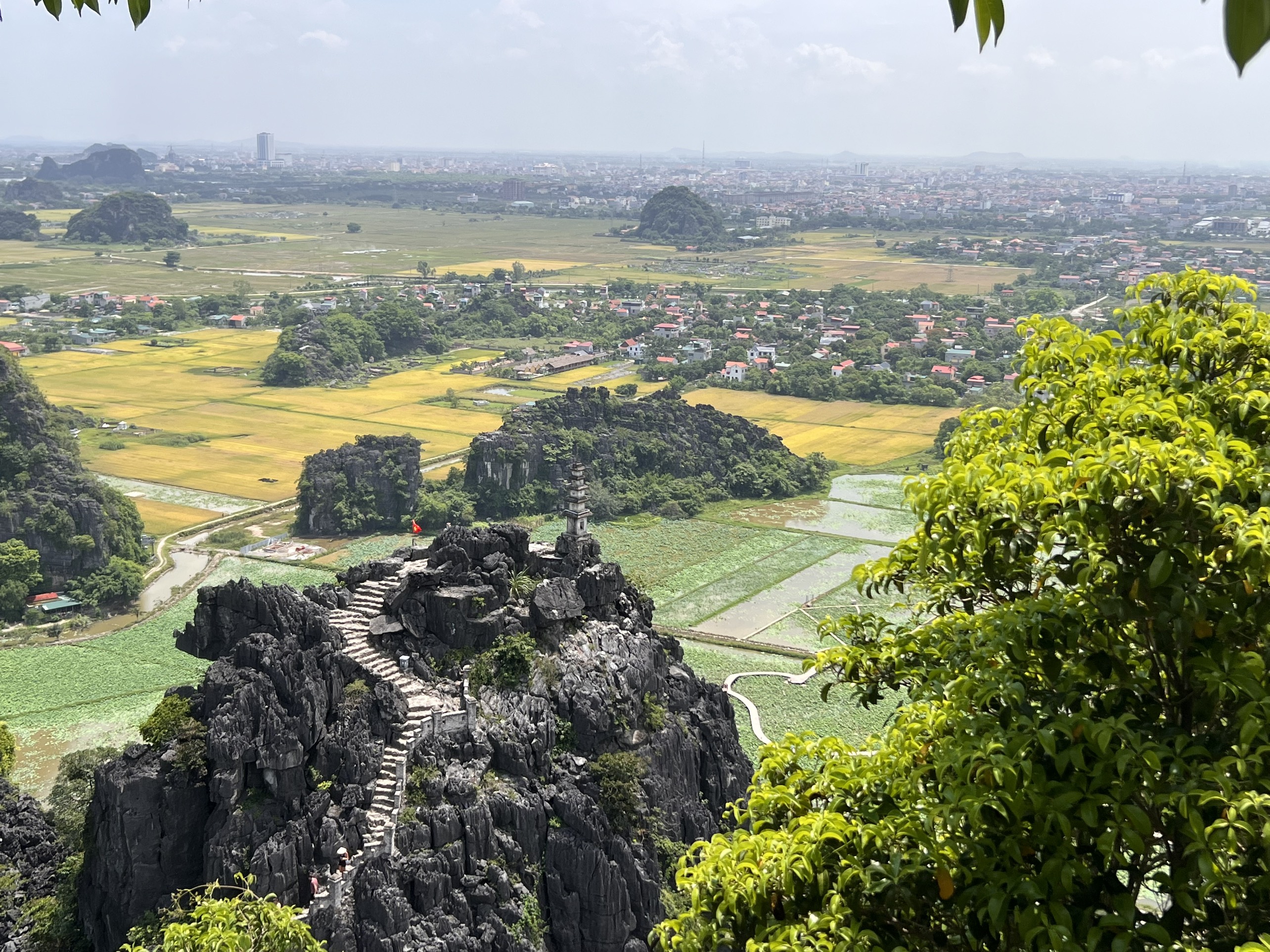 HOA LU -TAM COC -MUA CAVE 