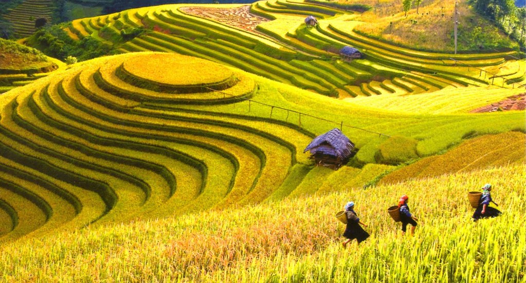 SAPA - FANSIPAN PEAK – CAT CAT  FULL DAY ( L)