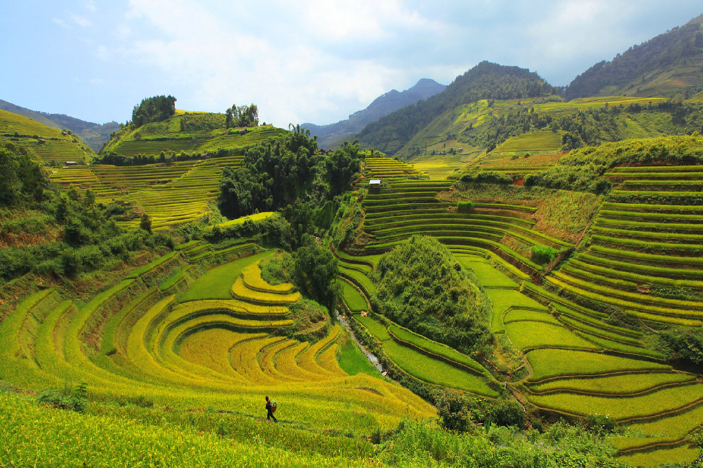 SAPA - FANSIPAN PEAK – CAT CAT  FULL DAY ( L)