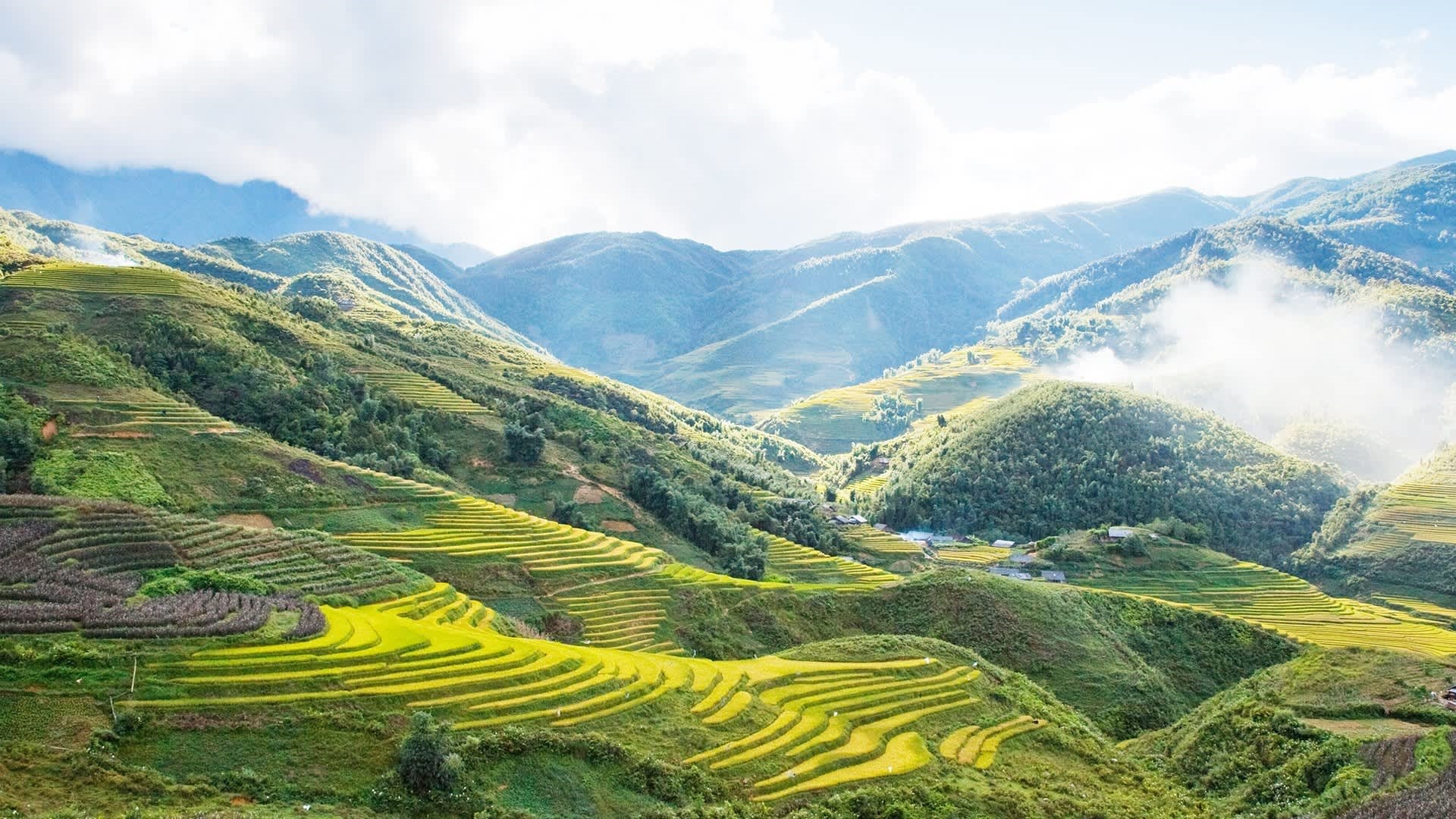 DISCOVER NORTHERN VIETNAM  - WORLD HERITAGE EXPLORATION PACKAGE TOUR HA NOI-SAPA -HA LONG 6 DAYS 5 NITES 