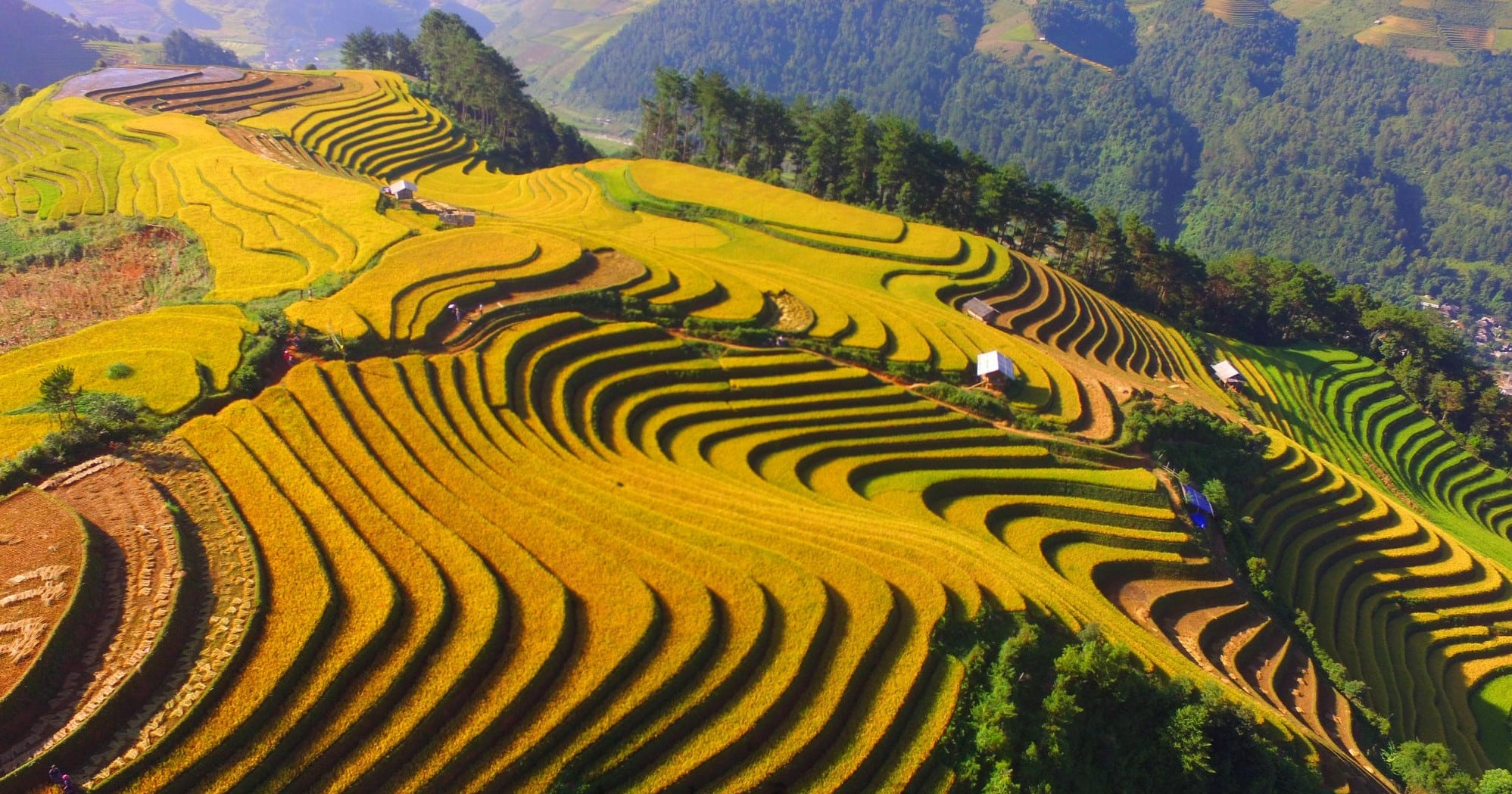 Southeast Asia